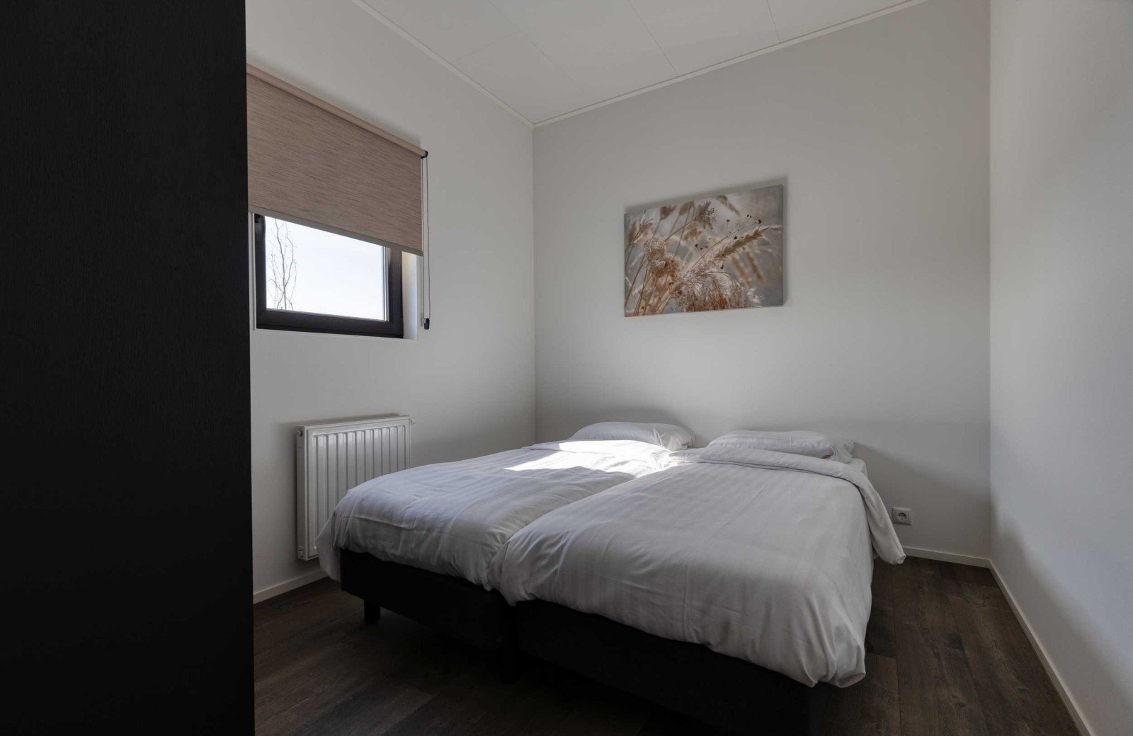 0k7a2145aurorahdr2019 edit