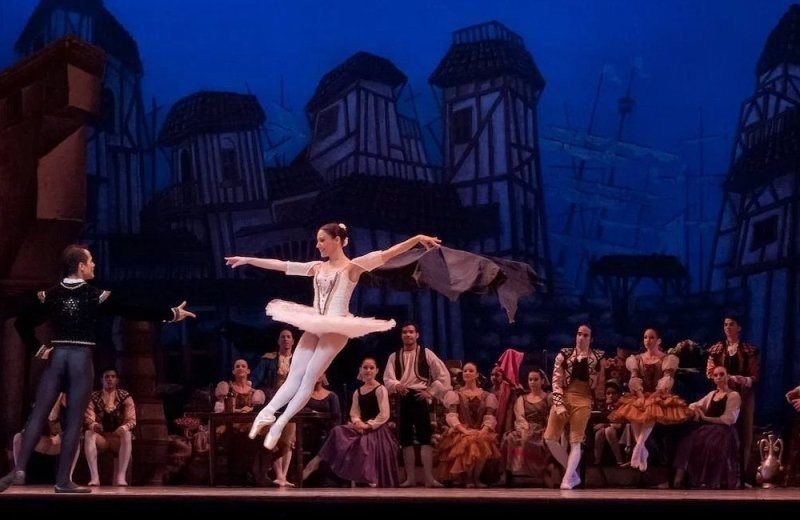 Ballet production performance don quixote 45258