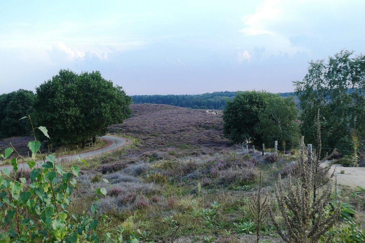 Posbank bij Anrhem (fotocredits: Pixabay @Elsemargriet)