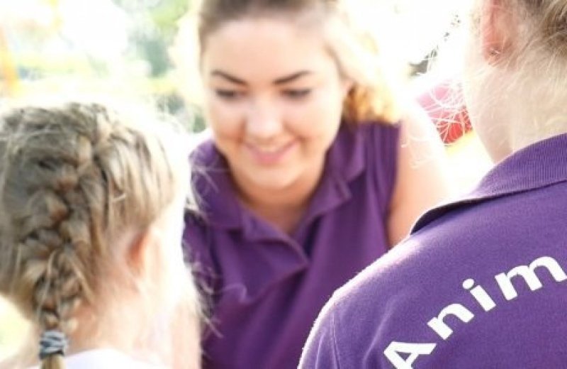 Animatie en recreatie