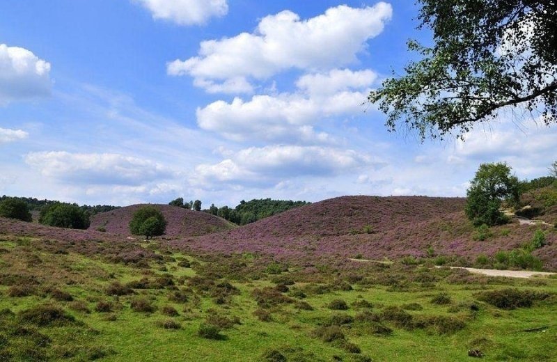 Nationaal park Veluwezoom