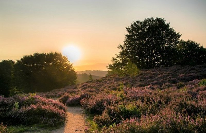 Ontdek de omgeving afbeelding